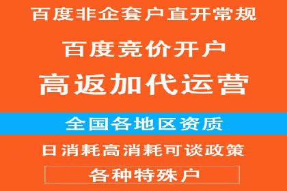 行业领先企业的信息流广告投放策略